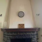 Apartment Rosa Perla - -