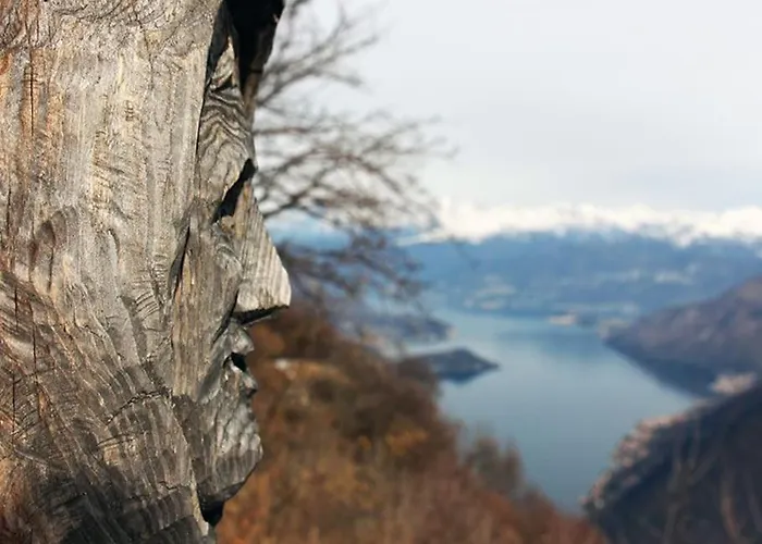 Rosa Perla - - Schignano (Como)