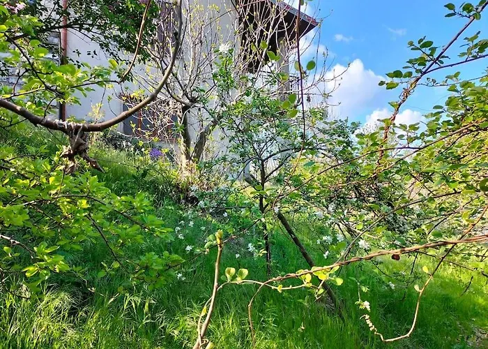 Appartement Rosa Perla - - *