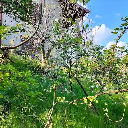 Appartement Rosa Perla - - *